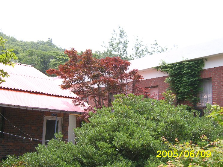 1 233.jpg